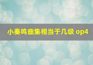 小奏鸣曲集相当于几级 op4